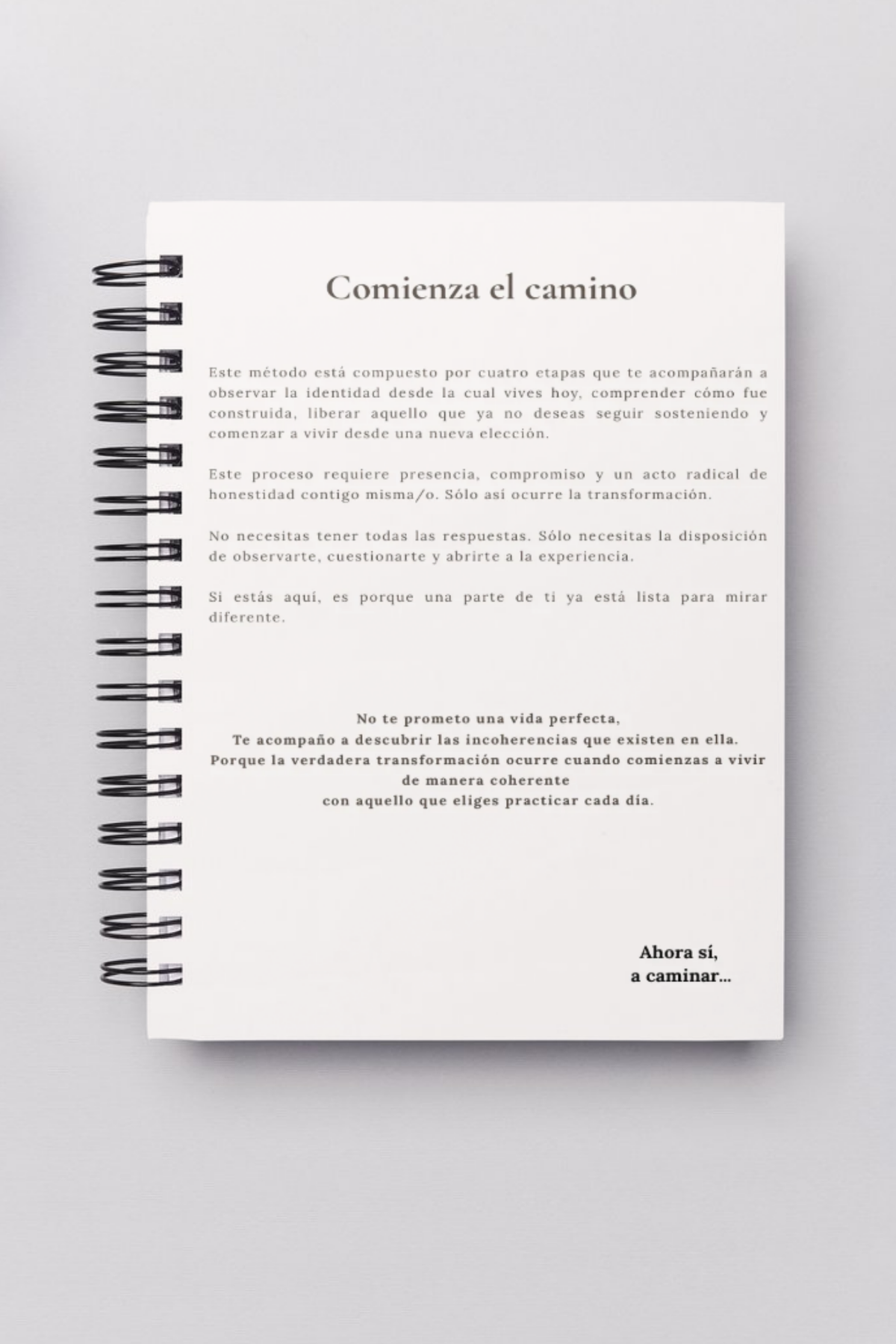 Etapas de la Guía de Autoconocimiento y Transformación Consciente